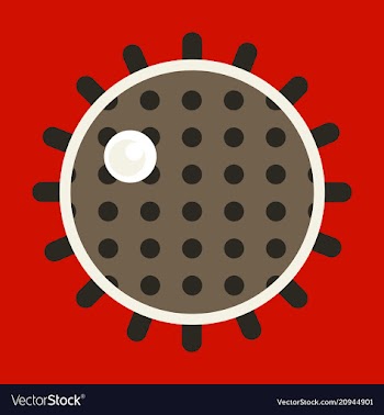 Sea urchin isolated on background vector image