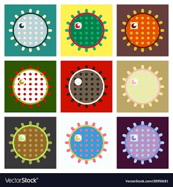 Sea urchin isolated on background vector image