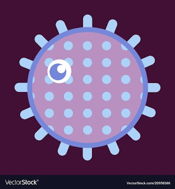 Sea urchin isolated on background vector image