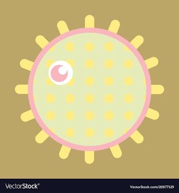 Sea urchin isolated on background vector image