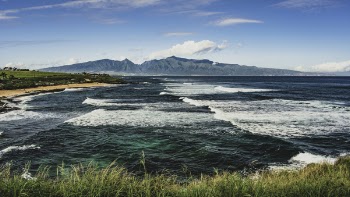 Sea Waves and Green Grasses