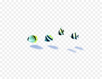 Seabed Deep sea fish - Fish seabed material 