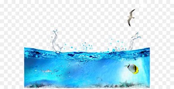 Seabed Ocean Seawater - Summer Icy Ocean 