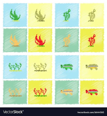Seabed stock collection in hatching style vector image