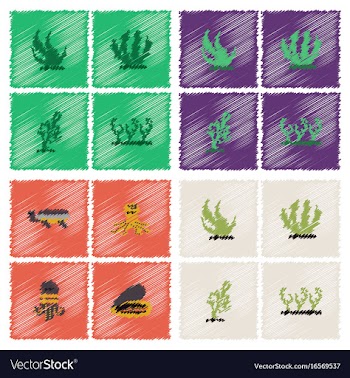 Seabed stock collection in hatching style vector image
