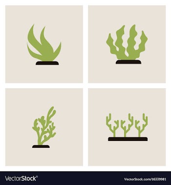 Seabed stock collection vector image
