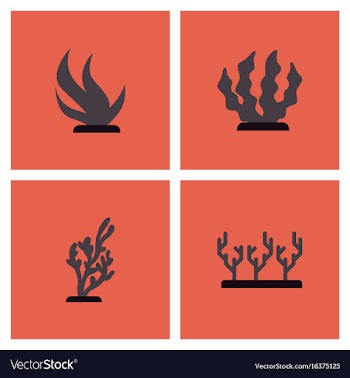 Seabed stock collection vector image