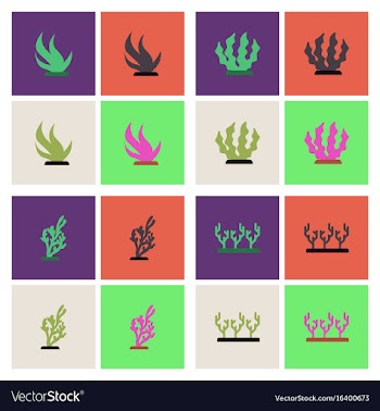 Seabed stock collection vector image