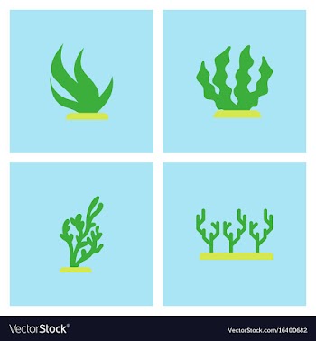 Seabed stock collection vector image