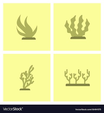 Seabed stock collection vector image