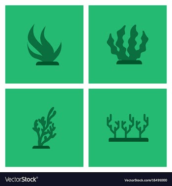 Seabed stock collection vector image