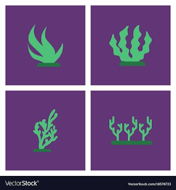 Seabed stock collection vector image