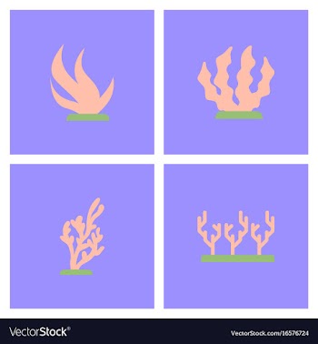Seabed stock collection vector image