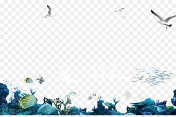 Seabed Underwater - seabed 