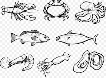 Seafood Crab Euclidean vector - Vector crab 