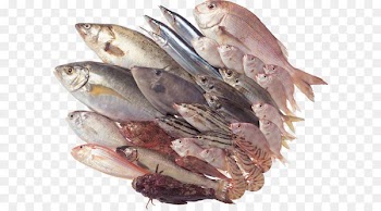 Seafood Fish as food Stuffing - Fish PNG 