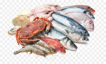 Seafood Fish market Restaurant - fish 