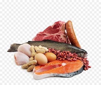 Seafood Meat Fish Protein - meat 