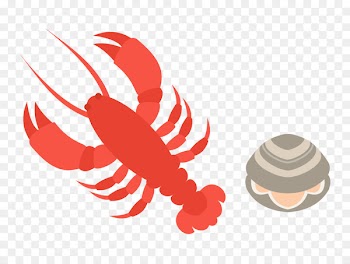Seafood Oyster Menu Icon - Vector shrimp seashell material 