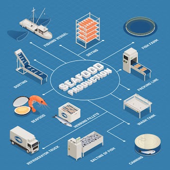 Seafood production process flowchart Free Vector