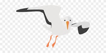 Seagull Animal Water Bird Nature Sea Bird - Transparent Background Seagull Clipart