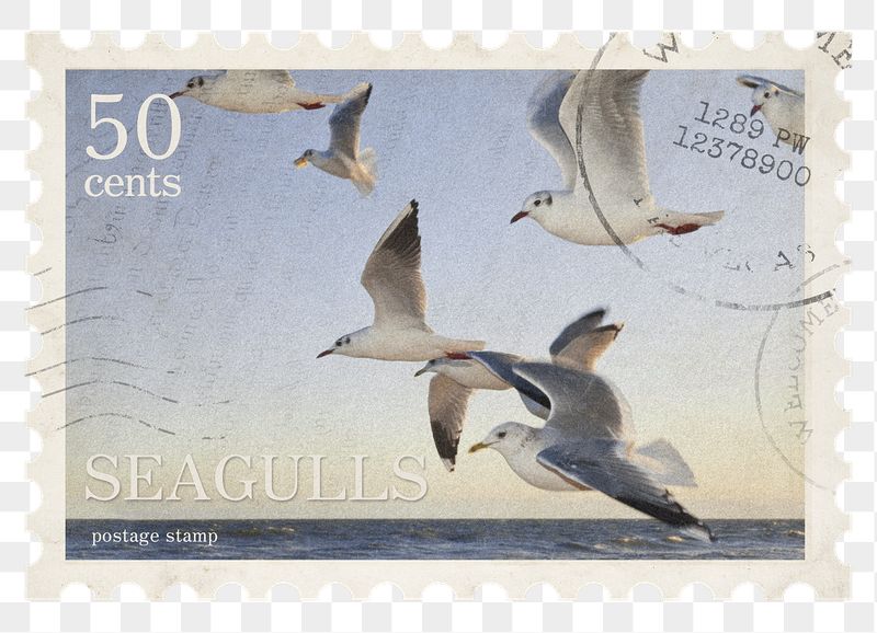 Seagulls png post stamp sticker, | Free PNG - rawpixel