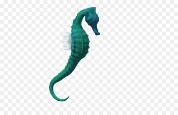 Seahorse Desktop Wallpaper Clip art - Clipart Best Seahorse Free Images 