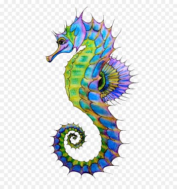 Seahorse Drawing Art Clip art - hippo 