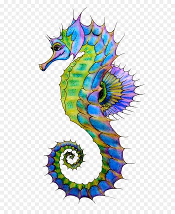 Seahorse Drawing Art Clip art - Seahorse PNG 