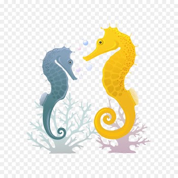 Seahorse Illustration - Seahorse illustration 