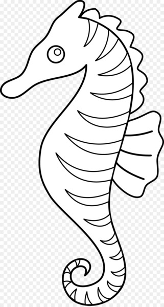 Seahorse Line art Clip art - Sea Horse Outline 