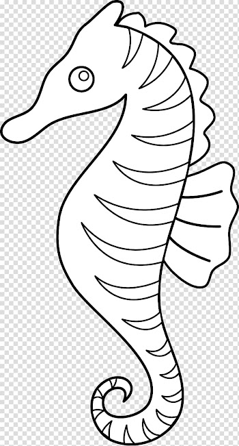 Seahorse Line art , Sea Horse Outline transparent background PNG clipart