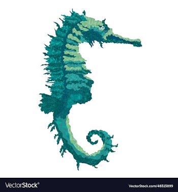 seahorse marine life polygons