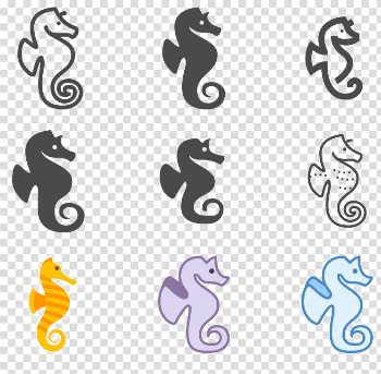 Seahorse PNG High-Quality Image