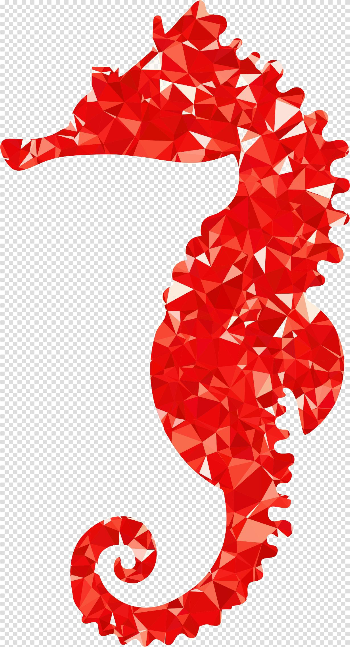 Seahorse PNG Photo