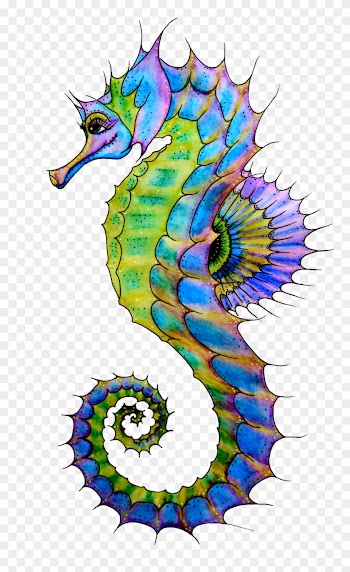 Seahorse Purple Sea Horse Clipart Clipartcow - Seahorse Drawing Colorful