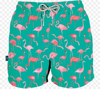 Seahorse swimwear Price Product Father Crab - 214 