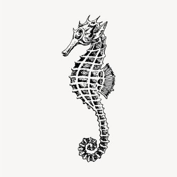 Seahorse underwater animal clipart, vintage | Free Vector - rawpixel