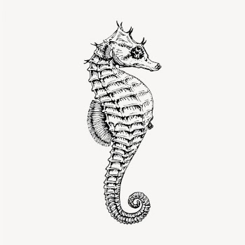 Seahorse underwater animal clipart, vintage | Free Vector - rawpixel