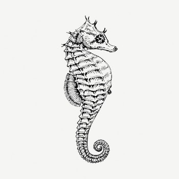Seahorse underwater animal collage element, | Free PSD - rawpixel