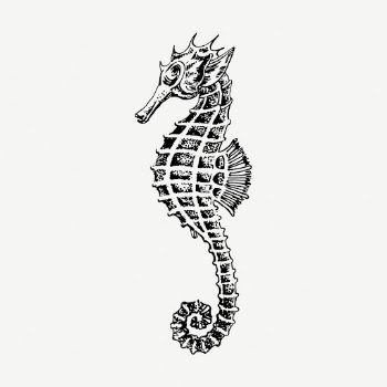 Seahorse underwater animal collage element, | Free PSD - rawpixel