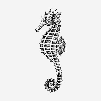 Seahorse underwater animal hand drawn | Free Photo - rawpixel