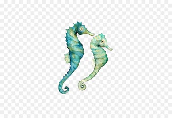 Seahorse Watercolor painting Art - seahorse 