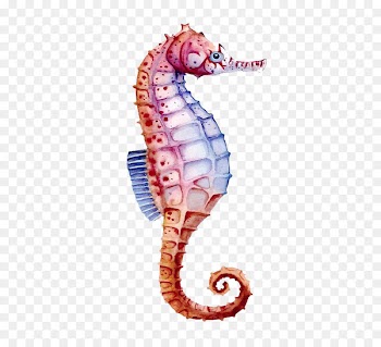 Seahorse Watercolor painting Drawing - Color hippo 