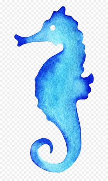 Seahorse Watercolor painting Drawing - starfish 