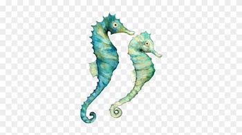 Seahorses - Watercolor Ocean Animals