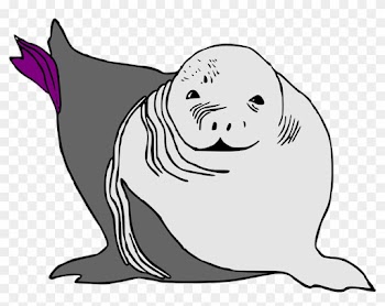 Seal Clipart Ocean - Cartoon Baby Sea Lion