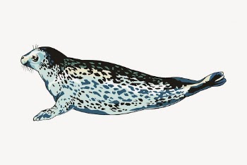 Seal clipart, sea life illustration. | Free Photo - rawpixel