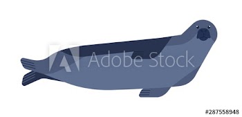 Seal flat vector illustration