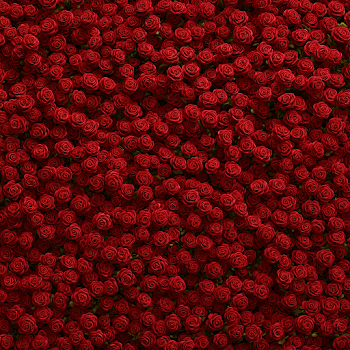 Seamless Aerial View of Tiny Red Roses